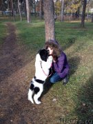 Превью фото № 165512