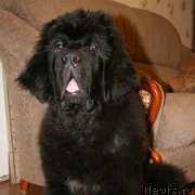 Превью фото № 165544