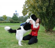 Превью фото № 165551