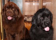 Превью фото № 165567