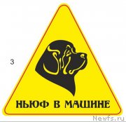 Превью фото № 165657