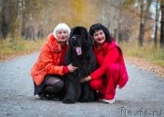 Превью фото № 165665