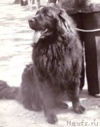 Превью фото № 165668