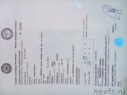 Превью фото № 165694