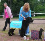 Превью фото № 16580