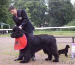 Превью фото № 16591