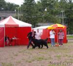 Превью фото № 16594