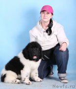 Превью фото № 165943