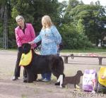 Превью фото № 16599