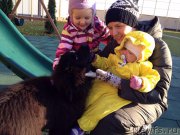 Превью фото № 166009