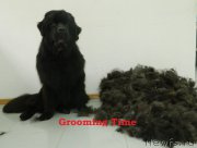 Превью фото № 166051