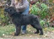 Превью фото № 166128