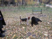 Превью фото № 166156