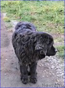 Превью фото № 166159