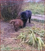 Превью фото № 166163