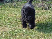 Превью фото № 166256