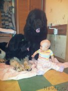 Превью фото № 166270