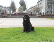 Превью фото № 166282