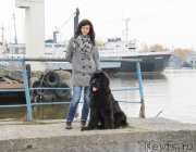 Превью фото № 166283