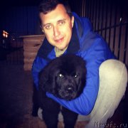 Превью фото № 166289