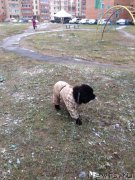 Превью фото № 166301