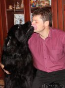 Превью фото № 166304