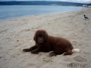 Превью фото № 166316