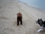 Превью фото № 166318