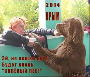 Превью фото № 166338