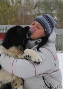 Превью фото № 166341