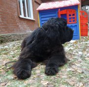 Превью фото № 166367