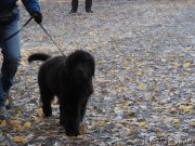 Превью фото № 166371