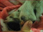 Превью фото № 166394