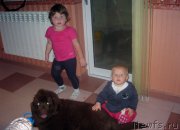 Превью фото № 166429