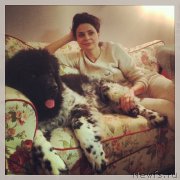 Превью фото № 166435