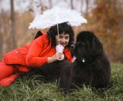 Превью фото № 166665