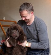 Превью фото № 166676