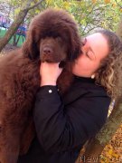 Превью фото № 166678