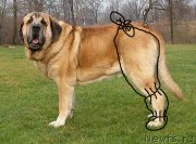 Превью фото № 166748