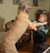 Превью фото № 166754