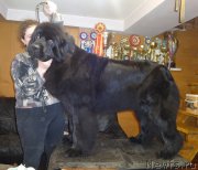 Превью фото № 166800