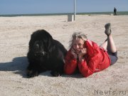 Превью фото № 166864