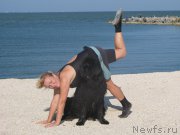 Превью фото № 166868