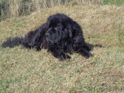 Превью фото № 167011