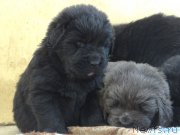 Превью фото № 167047