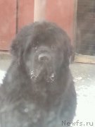 Превью фото № 167099