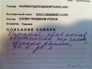 Превью фото № 167103