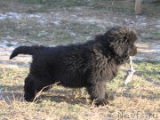 Превью фото № 167111