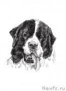 Превью фото № 167155