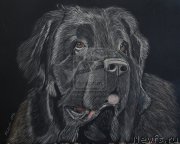 Превью фото № 167250